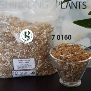 Sphagnum Propogation Substrate 4lt